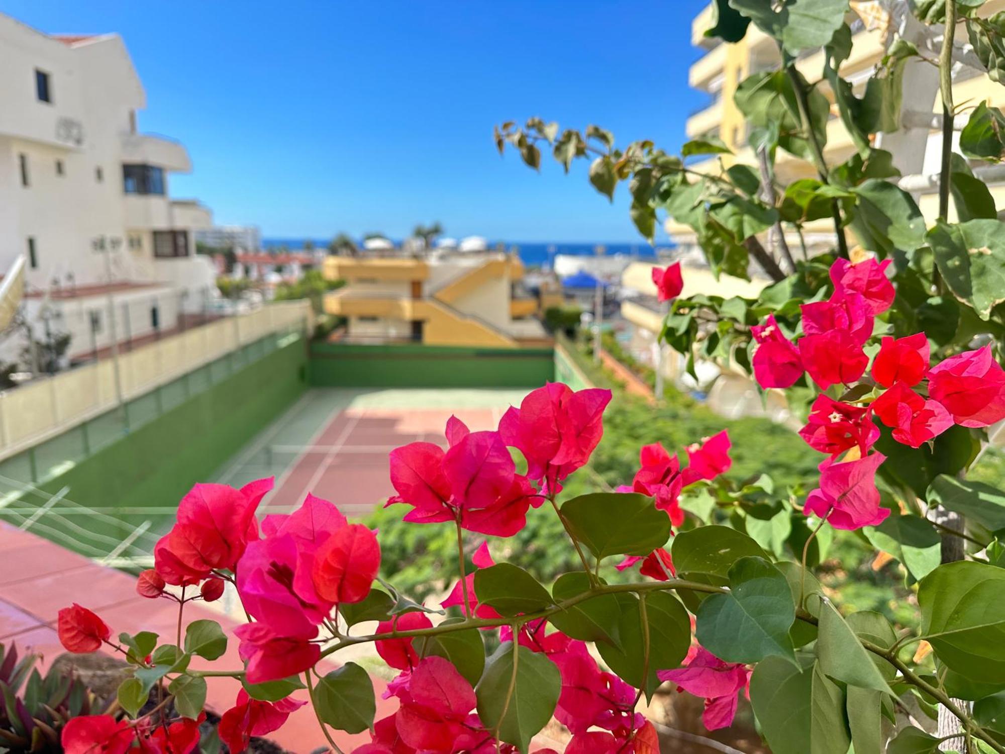 Apartment In Ocean Park, Costa Adeje, Tenerife Ngoại thất bức ảnh